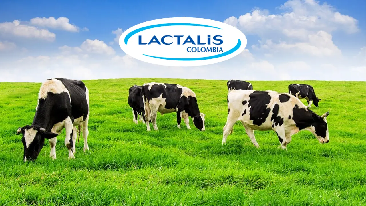 Lactalis Blog